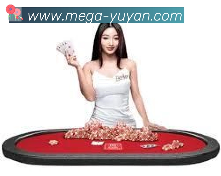 未来规划