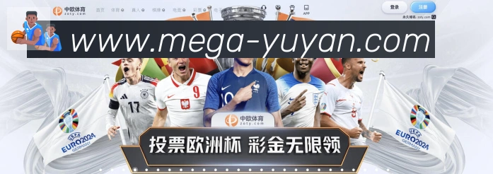 奖项证书